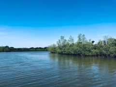 -东寨港红树林旅游区