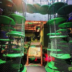 -恐龙探索乐园(磁器口店)