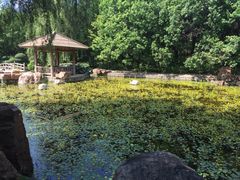 景点-沈阳植物园