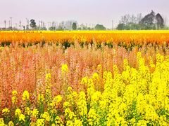 -中国天府农业博览园