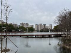 -新江湾城公园