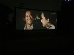-枫花园汽车电影院(朝阳公园店)
