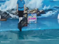-左海海底世界