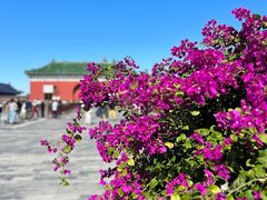 -天坛公园