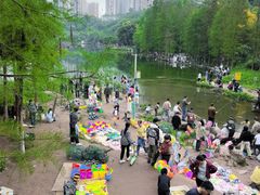 -重庆彩云湖湿地公园