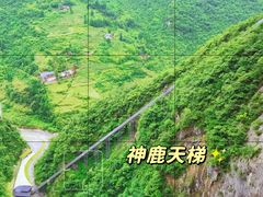 -鹿院坪生态旅游景区