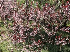 -隹木咖啡馆(宝龙广场店)