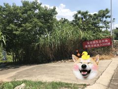 -芬芳甜品(同福路店)