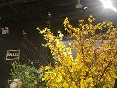 -Olé精品超市(天汇广场店)