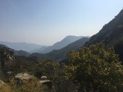 -大岭沟猕猴桃谷风景区