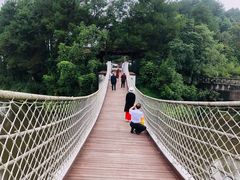 -铁山坪森林公园