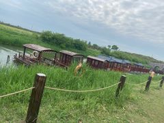 -嘉北郊野公园