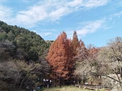 -国家植物园南园