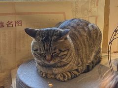-正阳书局(西四南大街店)
