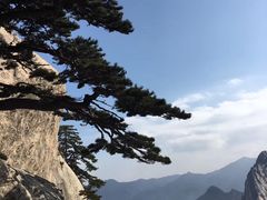 -少华山国家森林公园