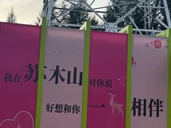 -苏木山森林公园