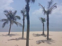 android_upload_pic-白城沙滩