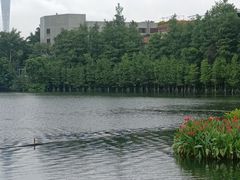 -东山湖公园