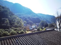 -雁南飞茶田景区