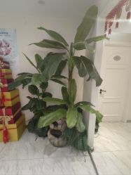 -健身堂科技美肌SPA
