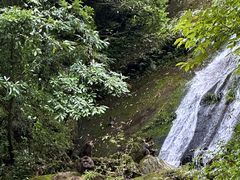 -瓦屋山景区