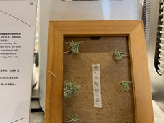 -素咫咖啡CLIFEROSE(新安店)
