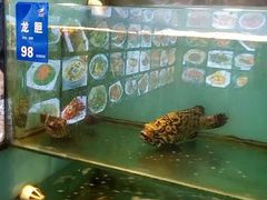 -长崎家日式料理(人民大街店)