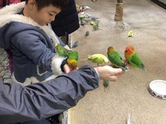 -上海大自然野生昆虫馆(东方明珠·爬宠昆虫探索中心)
