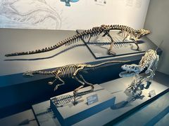 -自贡恐龙博物馆