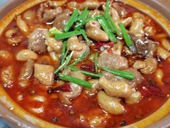 砂锅川北肥肠-小杨酒家(华苑小区店)