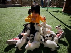 -萌宠亲子动物乐园(槐房万达店)