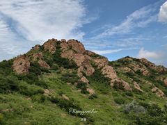 -红山国家森林公园