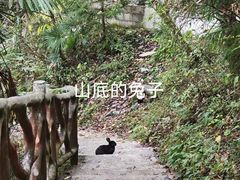 -鹿院坪生态旅游景区