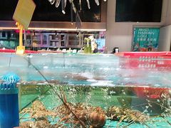 -阿伟海鲜楼·福建菜(延寿店)
