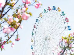 -观澜湖生态运动公社