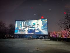 -枫花园汽车电影院(朝阳公园店)