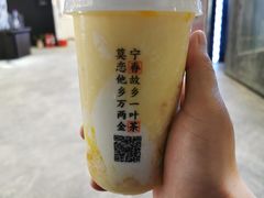 -眷茶(赛格国际购物中心店)
