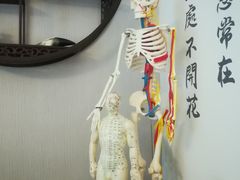 -弘善堂推拿调理