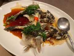 清蒸笋壳鱼-金苑海鲜酒家(来魅力店)