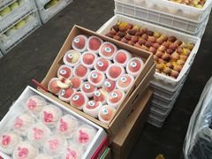 -西郊国际农产品交易中心