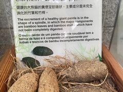 -石排湾郊野公园