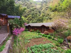 -宁波余姚老柿林山居度假村