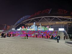 -沈阳奥体冰雪嘉年华