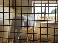 -北京群众马术培训基地