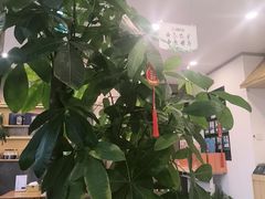 -艾柏堂8090经络·艾灸养生(御庭府邸店)