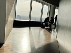 -六本木新城展望台(东京城市景观)