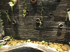 -一只烧鸡公(解放碑店)