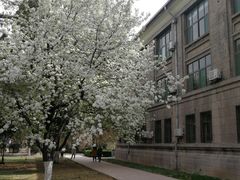 -山东师范大学(千佛山校区)