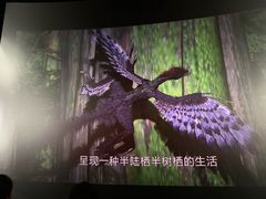 -中国科学技术馆影院