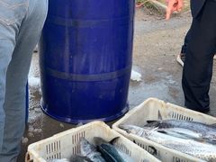 -青岛沙子口国家中心渔港